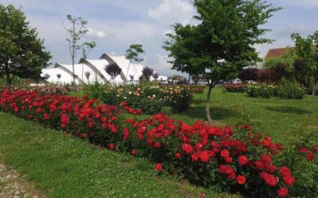 Hanul Moara cu Noroc