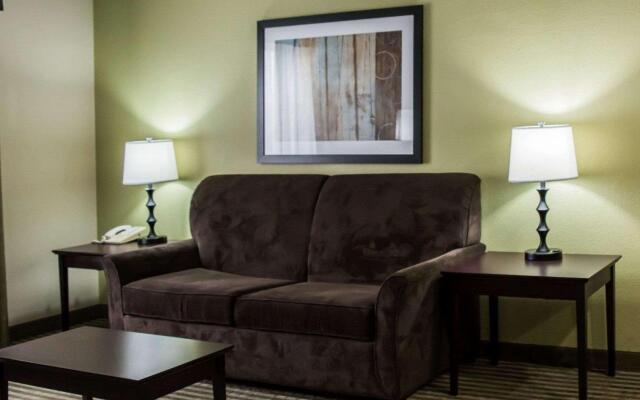 Comfort Inn & Suites St. Pete - Clearwater International Airport