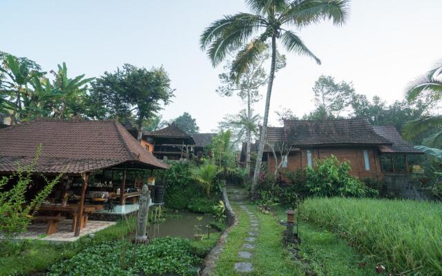 Song Broek Jungle Resort