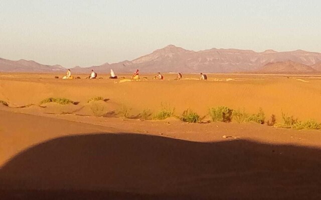 Bivouac Nature & Freedom