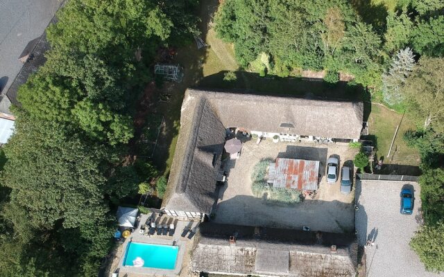 Farm 61 Bed & Breakfast