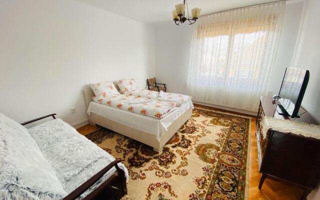 Andrei's house