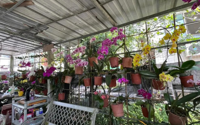 Garden Hostel