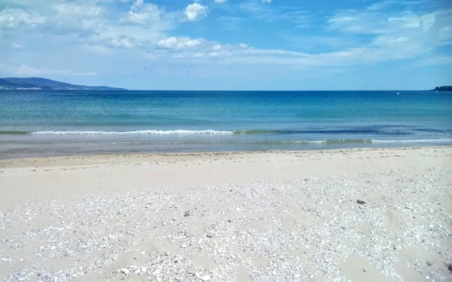 Hotel Amfibia Beach