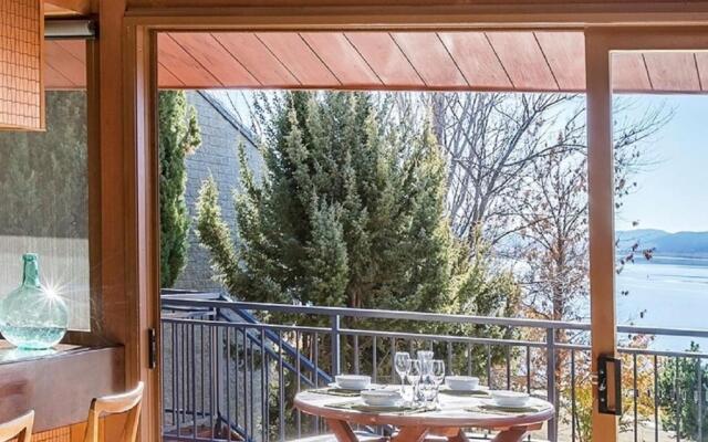 Grey Kangaroo- On Lake Jindabyne foreshore