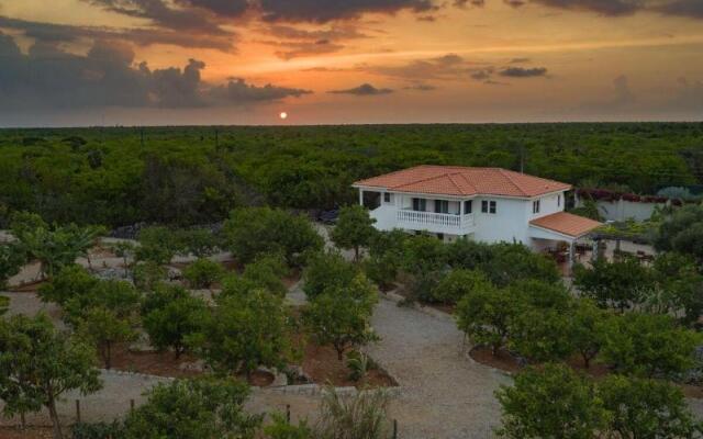 Le Soleil d'Or CaymanBrac