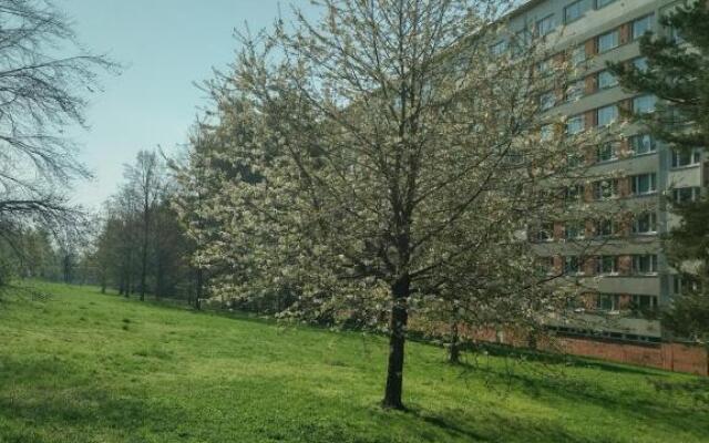 Flat Lesná