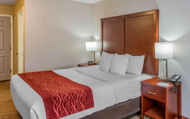 Comfort Inn Mount Shasta Area