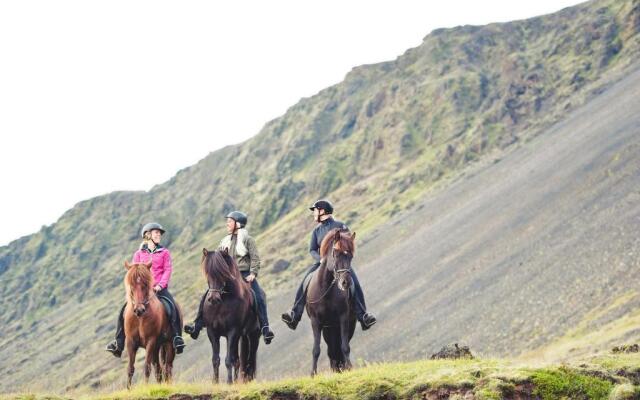 Akurgerði Guesthouse 2 - Country Life Style