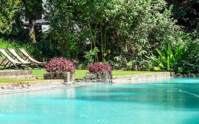 Ngare Sero Mountain Lodge