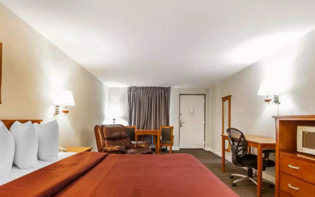 Quality Inn Maysville