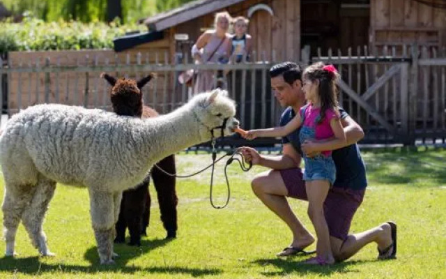 EuroParcs Resort Zuiderzee 10745