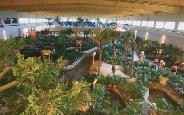 Jintai Hot Spring Resort