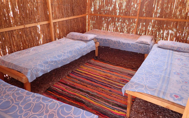 Bedouin Star (Ras shetan area)
