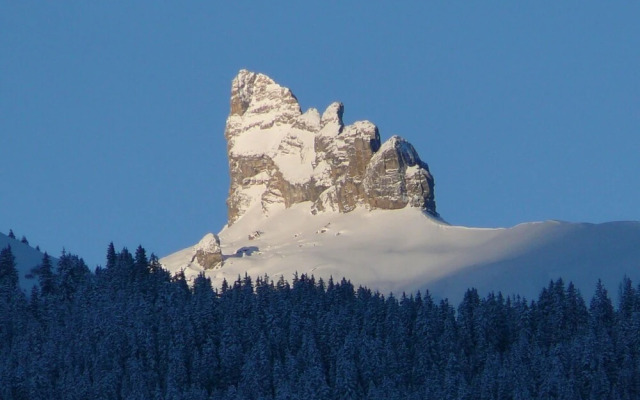 Rose Lauterbrunnen in Lauterbrunnen