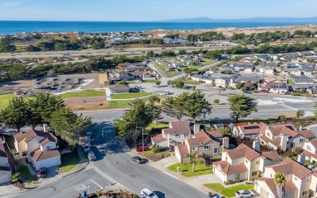 Succulents & Seashells Coastal Paradise by Beach