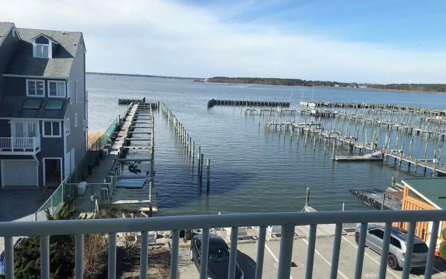 Collins Avenue 100 #309