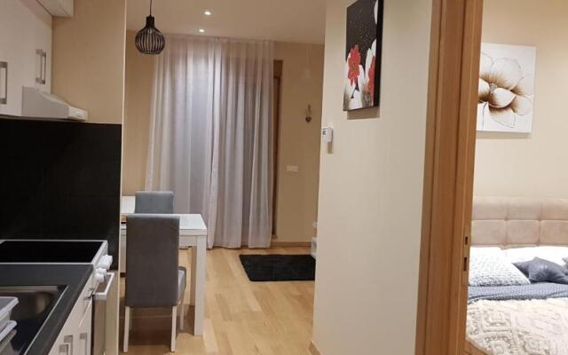 GEA Apartment 12 Zlatibor