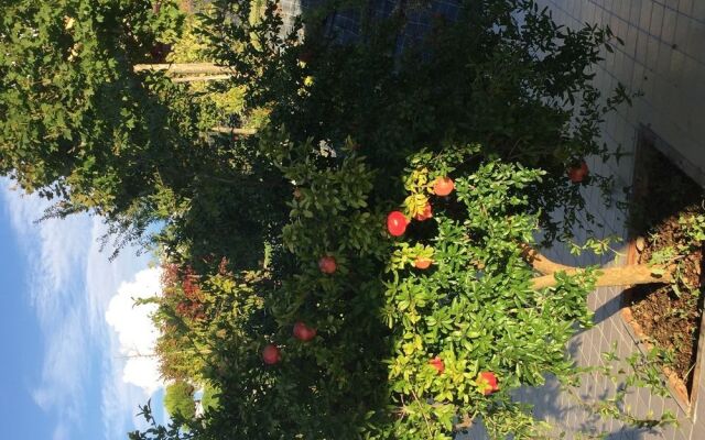 Casa Vacanza Villa Aurora