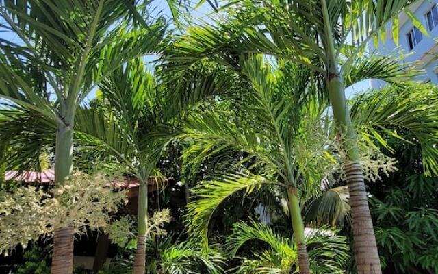 Green Oasis Hotel