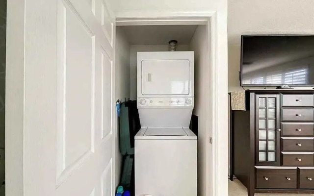 Enjoy Sunset with Dolphin and Manatee