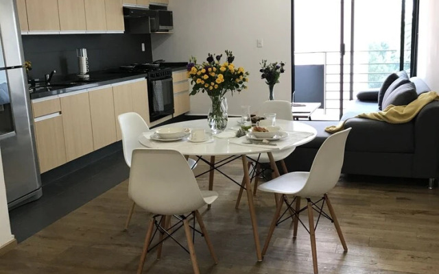 Amazing Apartment in Reforma
