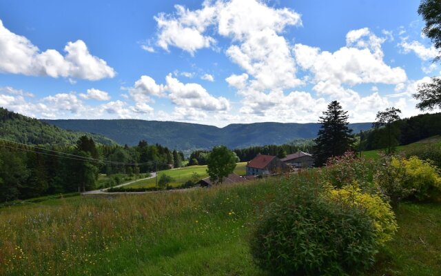 Beautiful Chalet Amidst Mountains in Saulxures-sur-Moselotte