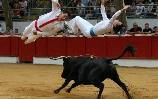 Appartement Vieux-Boucau-les-Bains, 3 pièces, 4 personnes - FR-1-379-135