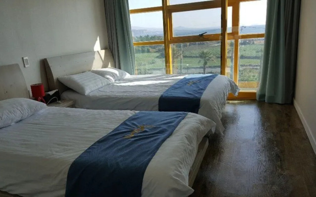 The Freedom - Hostel