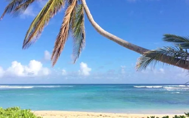 The Palms at Pelican Cove