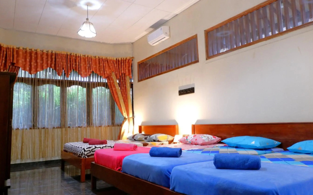 Sleepy Raccoon Hostel