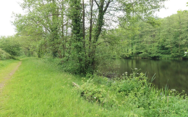 Harcombe House Bungalow 11