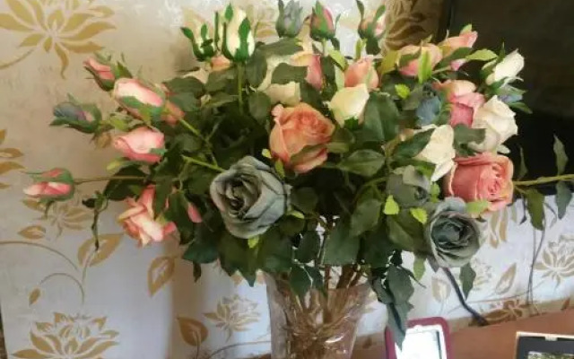 guesthouse (Shuang Liu airport)