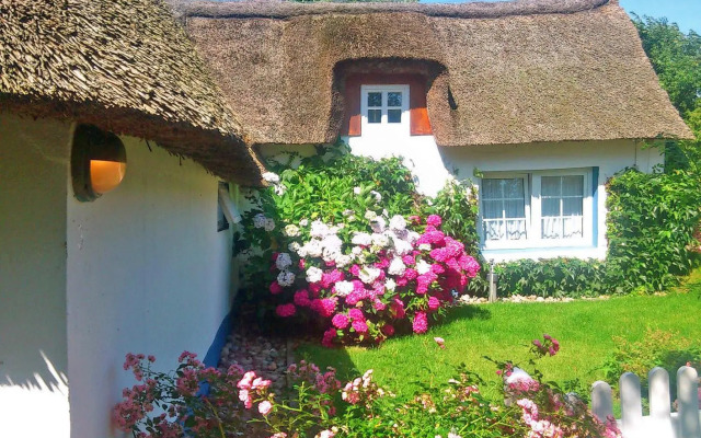 Föhrer Friesenkate West