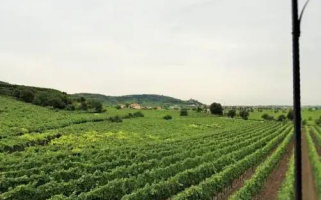 Villa Mattielli