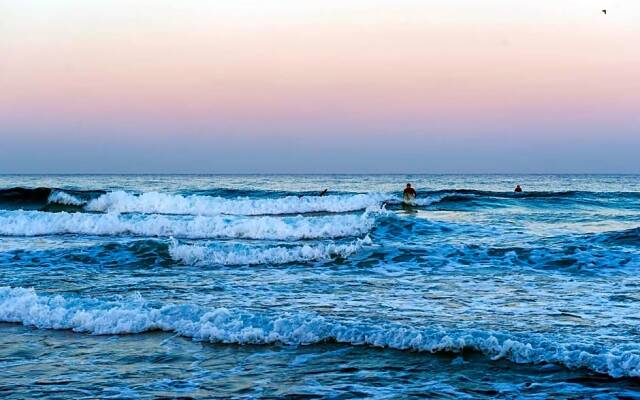 Yangyang Hotel Carrot