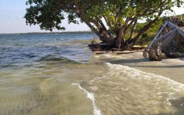 HOE - House Rita Brandão