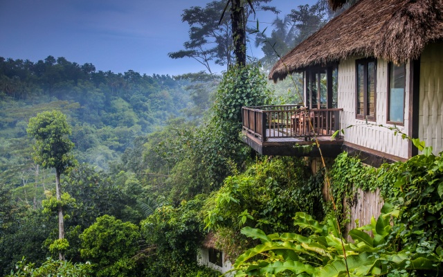 Nandini Jungle by Hanging Gardens