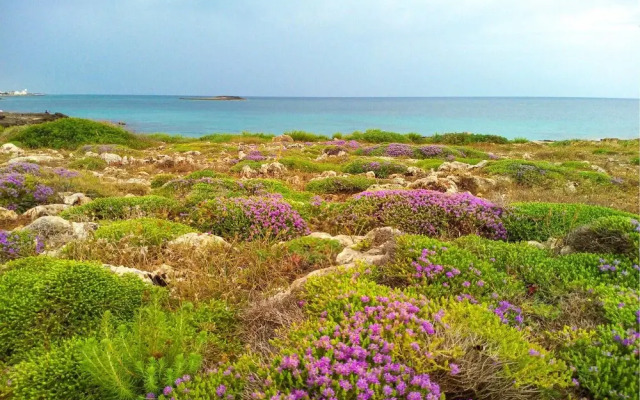 Nice Home in Poggiardo With Wifi and 2 Bedrooms