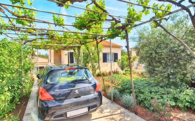Apartment Padulj 1365