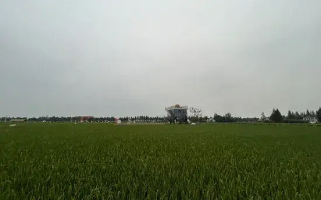 Vankoo Magic Yard