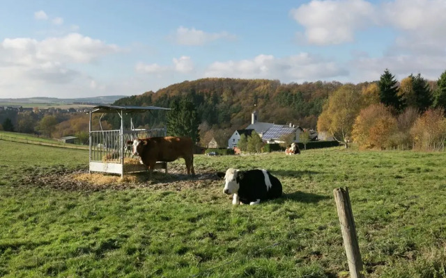 Peaceful Apartment in Morbach-morscheid With Garden