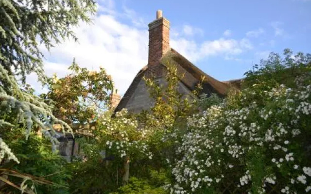 Warren House B&B