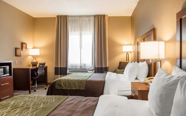 Comfort Inn Edinburg