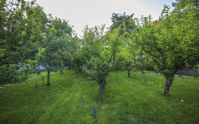 Seker Bungalov