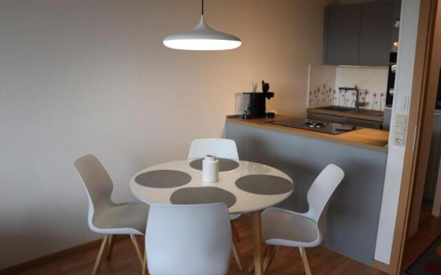 Ferienwohnung Harz Hohegeiß App 424