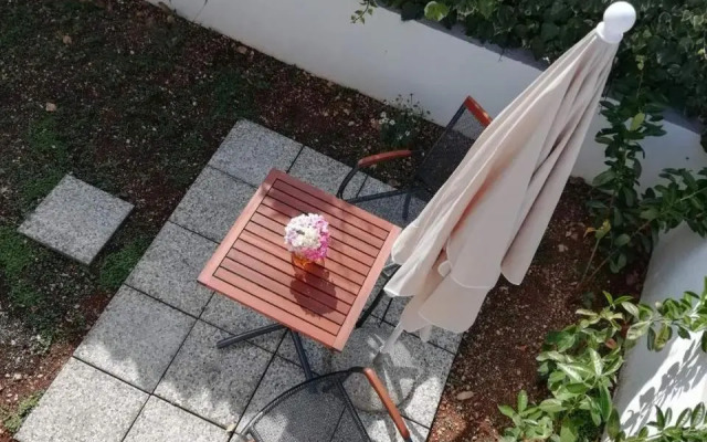 Room with garden