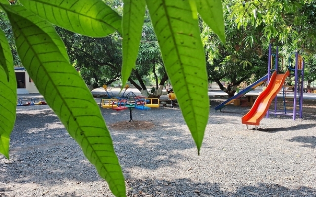 Dev Farm Sasan Gir