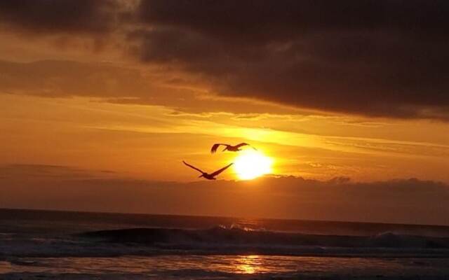 9 G, Two Bedroom Condo