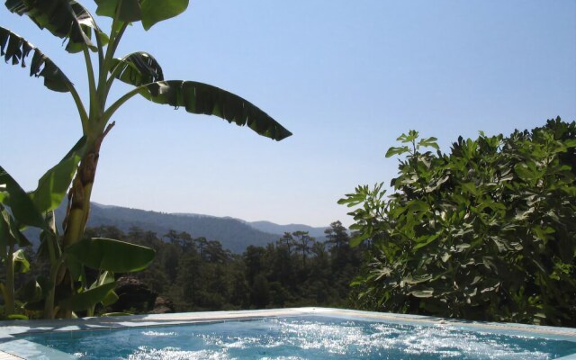 Eden Banana Walley Villa rezervasyonyap
